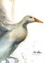 White Duck Spirit Ascending (42 x 59.4cm)