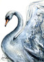 White Swan Spirit (42 x 59.4cm)