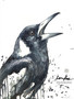 Magpie Message (31 x 41cm)
