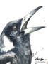 Magpie Message (31 x 41cm)