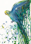 Budgie Spirit in Flight (19.5cm x 27.5cm h)