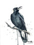 Magpie Song (31 x 41cm)