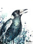 Magpie Spirit Song Remembered (31 x 41cm)