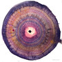 Crown Remembrance Mandala - Crown Chakra (30x30cm framed)