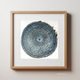 Shadow Wisdom - Root Chakra (30x30cm framed)