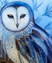 Owl Spirit ( 50 x 60cm)