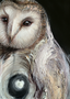 Athena’s Owl (27.5 x 37.5cm)