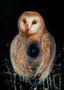 Athena’s Owl (42 x 59.4cm)