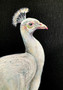 The Awakening: White Peacock on Censer (96cm x 132cm)