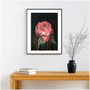 The Rose (42 x 59.4cm, A2)