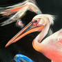 Pelican Spirit, Rise (Approx 95 x 125cm)