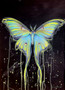 Luna Moth (42 x 59.4cm)