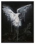 Sea Eagle Over Binalong Bay (83x103cm)