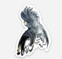Black Cockatoo Magnet (5 x 7.6cm)
