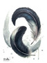 Magpie Feather Energy (17.5 x 25cm)