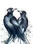 Magpie Kindred Spirits (31 x 41cm)