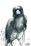 Magpie Meeting (19.5x30.5cm)