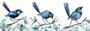 Blue Wren Fleeting Moments Australian bird watercolour artwork by Sydney artist Leni Kae