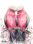 Galah Kindred Spirits, original Australian bird painting by Leni Kae depicting two pink and grey Galahs leaning towards each other with their heads gently touching.