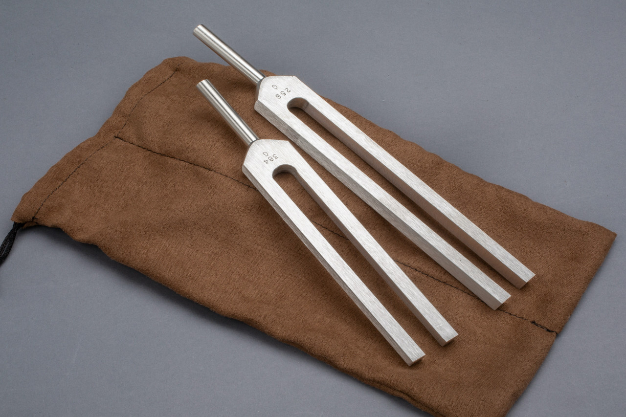 Body Tuners Tuning Forks - Omnivos Therapeutics