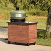 Fenix Artisan Pizza Oven Cart  Back Detail and Gozney Oven