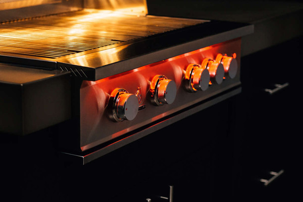 TrueFlame 25-inch Built-In Grills in Stainless Steel (TF25)