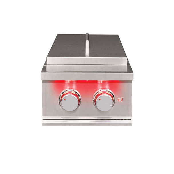 TrueFlame Double Side Burner in Stainless Steel (TFSB2)