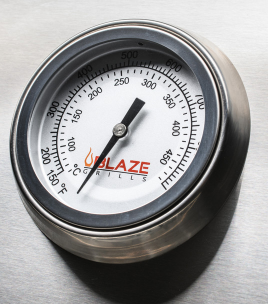 Blaze BLZ-5LTE3+ LTE 40-Inch 5-Burner Built-In Propane Or Natural Gas Grill With Rear Infrared Burner & Grill Lights