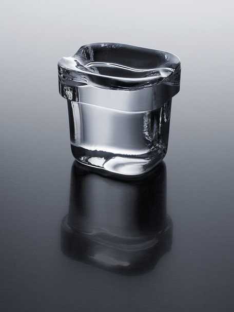 Bull 60 Lb. 15-Inch Outdoor Rated Commercial Ice Maker With Drain Pump 