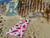 Watermelon Sugar Sand Free Beach Towel