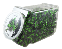 Tour Flex Pro Cleats, 400 Cleats In A Handy Bowl