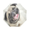 Dog Auto Foldable Umbrella