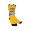 LeBron James Socks