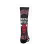 Chicago Bulls Socks