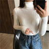 Turtleneck Slim Pullover