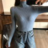 Turtleneck Slim Pullover
