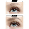3D Eyebrow Fibers
