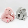 Ellie & Eggie The Baby Elephants