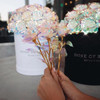 The Valentines Day Galaxy Rose [Limited Edition]