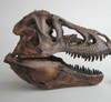 Handcraft Tyrannosaurus Rex Dinosaur Skull Collectible