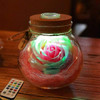 Rose Bottle LED Lamp