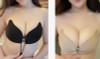 Push-Up Strapless Backless Invisible Bra