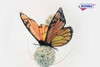 Monarch Butterfly  5.5"