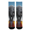 Dumbo Socks