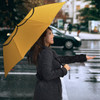 Garfield Cat Umbrella
