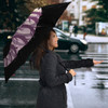 Alice In Wonderland Umbrella