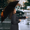 Fairy Tail Anime Logo Umbrella