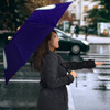 Sakura Cardcaptor Umbrella 2