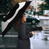 Stevie Nicks Umbrella