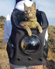 The Fat Cat Cat Backpack - For Larger Cats